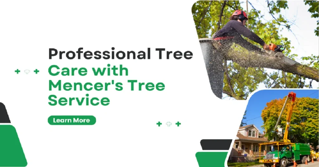 Mencer's Tree Service