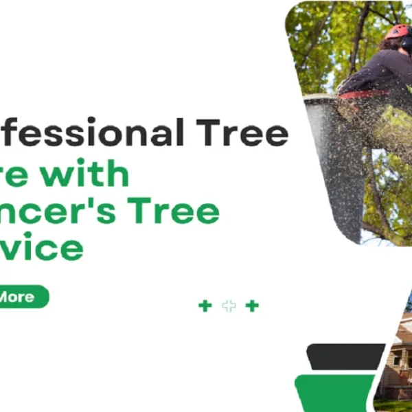 Professional Tree Care with Mencer’s Tree Service