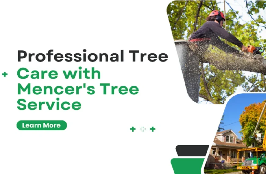 Professional Tree Care with Mencer’s Tree Service